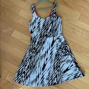 Express Tank Dress
